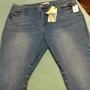 Curvy Fit Royalty for Me Blue Skinny Jeans size 24